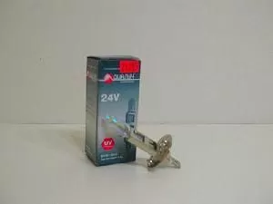 24101