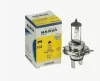 48881 Standard 12v