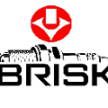 3. Свечи зажигания  BRISK 3. Свечи зажигания  BRISK