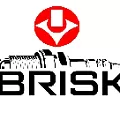 3. Свечи зажигания BRISK 3. Свечи зажигания BRISK
